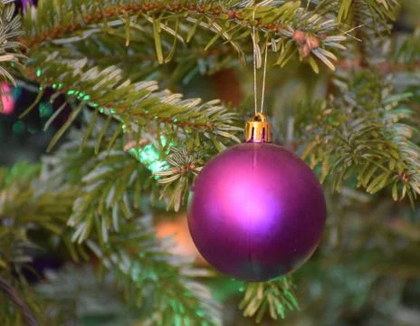 Purple Bauble Stock Photos