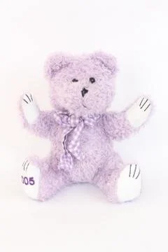 Purple bear on a white background. Stock Photos