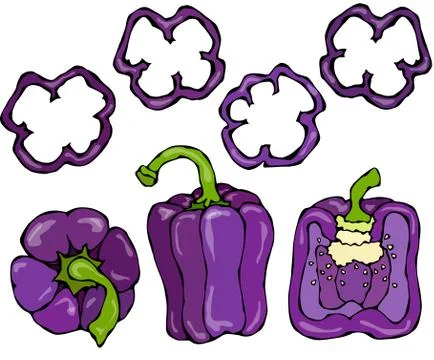 Purple Bell Peper Set. Half of Violet Sweet Paprika and Rings of Pepper Cuts Stock Illustration