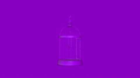 Purple Birdcages Video stock 145762973