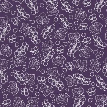 PURPLE BLACK CURRANT Seamless Pattern Vector Illustration Stock Illustration