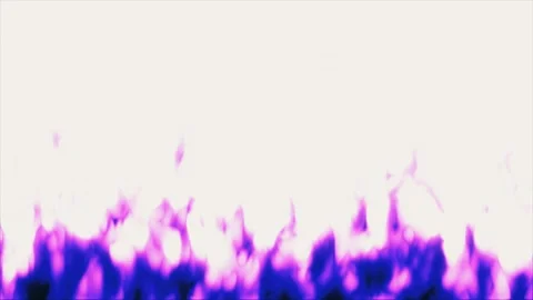 Purple Blue Fire Flames Animation on White Background Loop Stock Footage 341101144