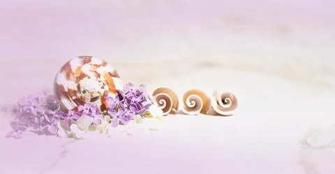 Purple blurred spa background. Seashells, lilac and white small flowers. Stock Photos