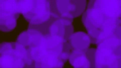 Purple bokeh background Stock Footage 339373207