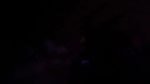 Purple, bottom, Bokeh, light, Vídeo Stock 320281399