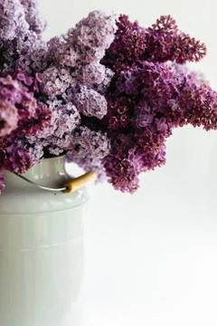 Purple bouquet of lilac flowers in a stylish vase on a white background Stock Photos