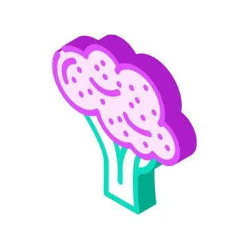 Purple broccoli isometric icon vector illustration Stock Illustration