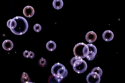 Purple bubbles Stock Photos