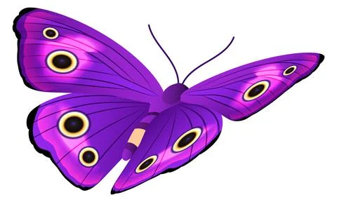 Purple butterfly with bright patterned wings. Flying moth 스톡 일러스트