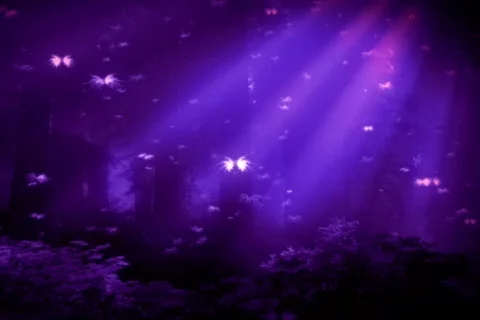 Purple Butterfly Forest Stock Footage 289769