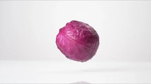 Purple Cabbage Head Bouncing Slow Motion White Tabletop Closeup Macro Food Stock Footage 335004127