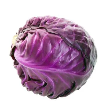 Purple cabbage head Stock Photos