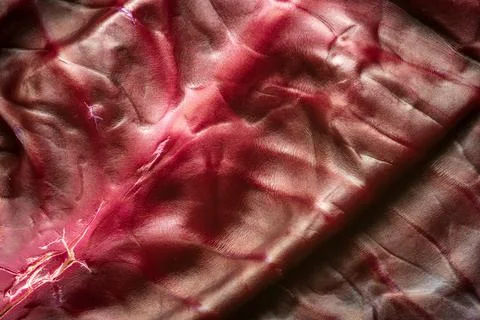 Purple cabbage leaf closeup background Photos