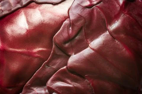 Purple cabbage leaf closeup background Photos