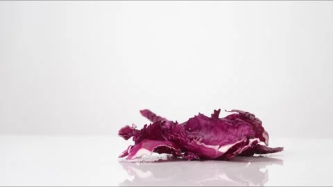 Purple Cabbage Leaves Bouncing Slow Motion White Tabletop Closeup Macro Food Stock Footage 335004977
