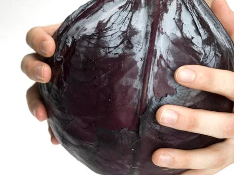 Purple cabbage Stock Photos