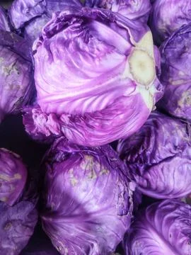 Purple cabbage Stock Photos