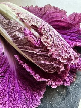 Purple cabbage Stock Photos