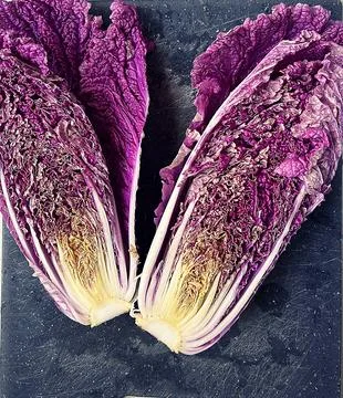 Purple cabbage Stock Photos