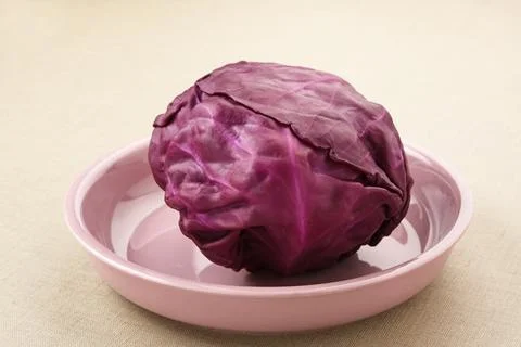 Purple cabbage Stock Photos