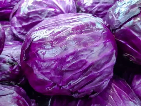 Purple cabbage Stock Photos