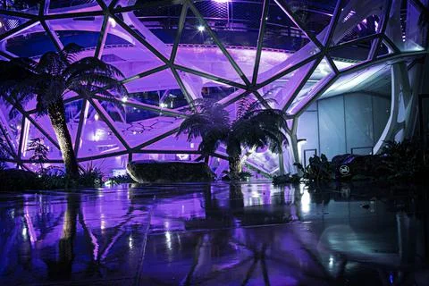 Purple cafe Foto stock