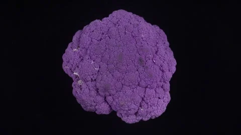 Purple Cauliflower On Black Background. Stock Footage 312236269