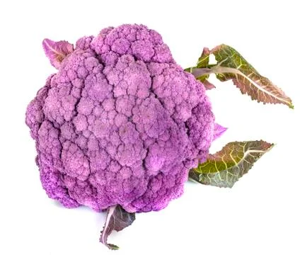 Purple cauliflower in studio Stock Photos