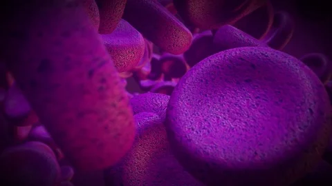 Purple Cells Stock Footage 81101486