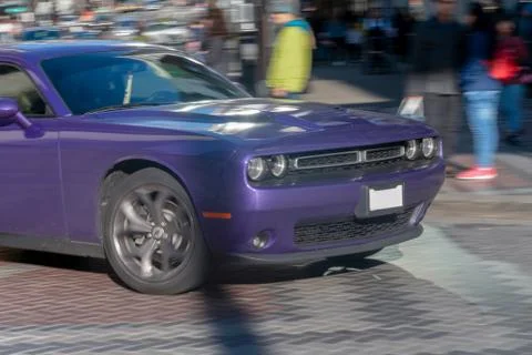 Purple Challenger Stock Photos