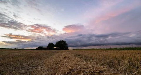 Purple clouds over the fields Stock Photos