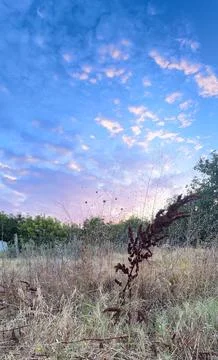 Purple clouds Stock Photos