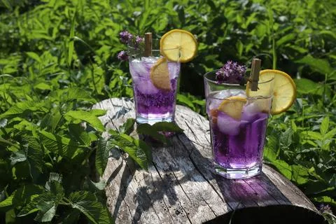 A purple cocktail Stock Photos