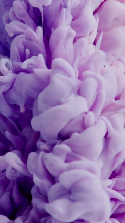 Purple Color Cloud. Ink Or Paint Mixing In Water. Slow Motion. Black Background. Stock Footage 205212245