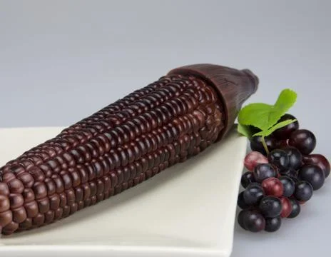 Purple corn and grape Stock Photos