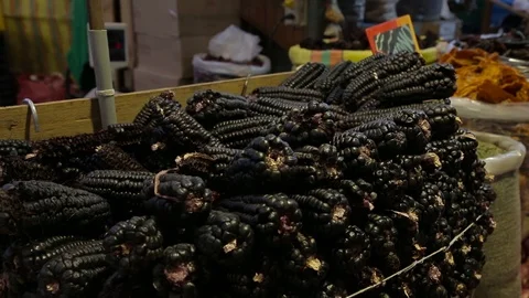 Purple corn Stock Footage 103032393