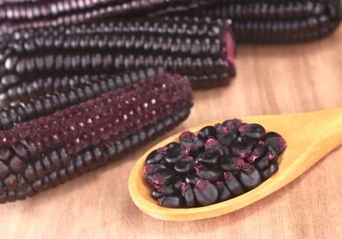 Purple corn grains Stock Photos