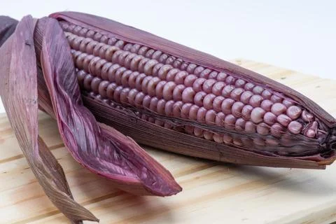 Purple corn isolated Stock Photos