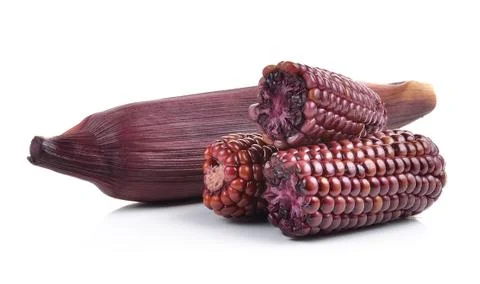 Purple corn isolated on white background Stock Photos