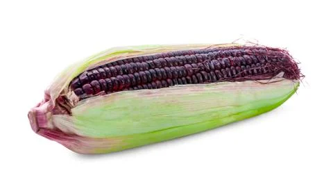 Purple corn isolated on white background Stock Photos