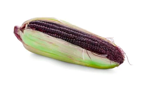 Purple corn isolated on white background Stock Photos