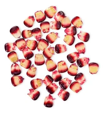 Purple corn isolated on white top view Stock Photos