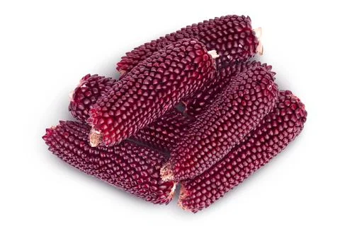 Purple corn or maize isolated on white background with full depth of field. Top Foto stock