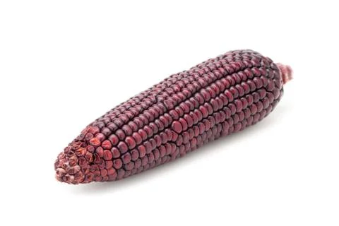Purple corn Stock Photos