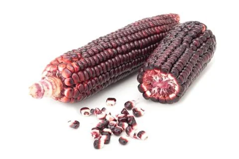Purple corn Stock-Fotos