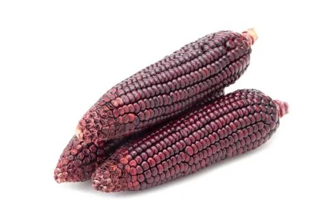 Purple corn Stock Photos