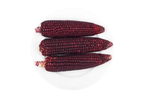 Purple corn Stock Photos
