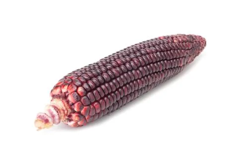 Purple corn Stock Photos