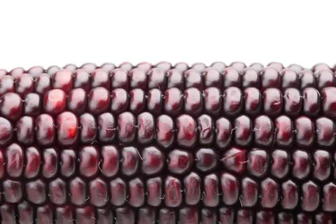 Purple corn Stock Photos