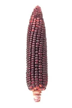 Purple corn Stock Photos